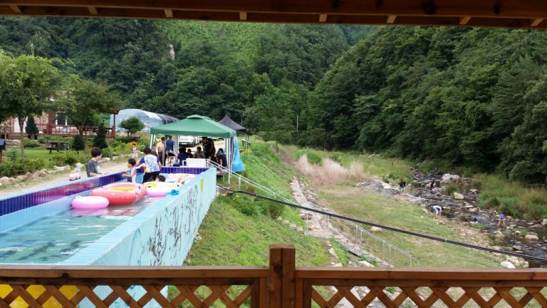올해도 다슬기와 물고기 풍년입니다.